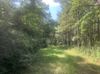 Midway Rd photo